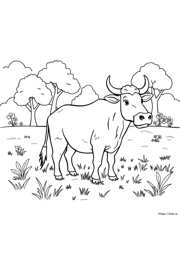 Carabao Da Colorare