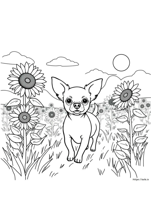 Free Chihuahua Coloring Pages