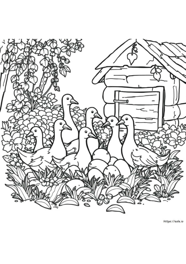 Coloriage 6 Oies Pondeuses À Imprimer
