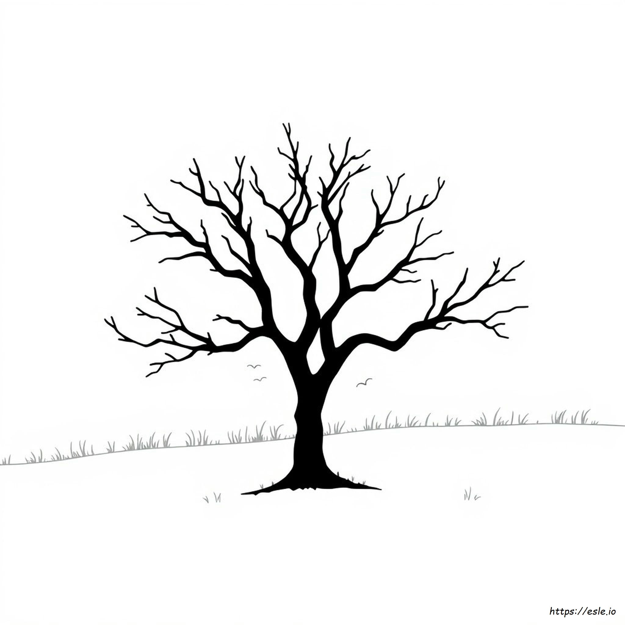 Imagini De Colorat Cu Umbre