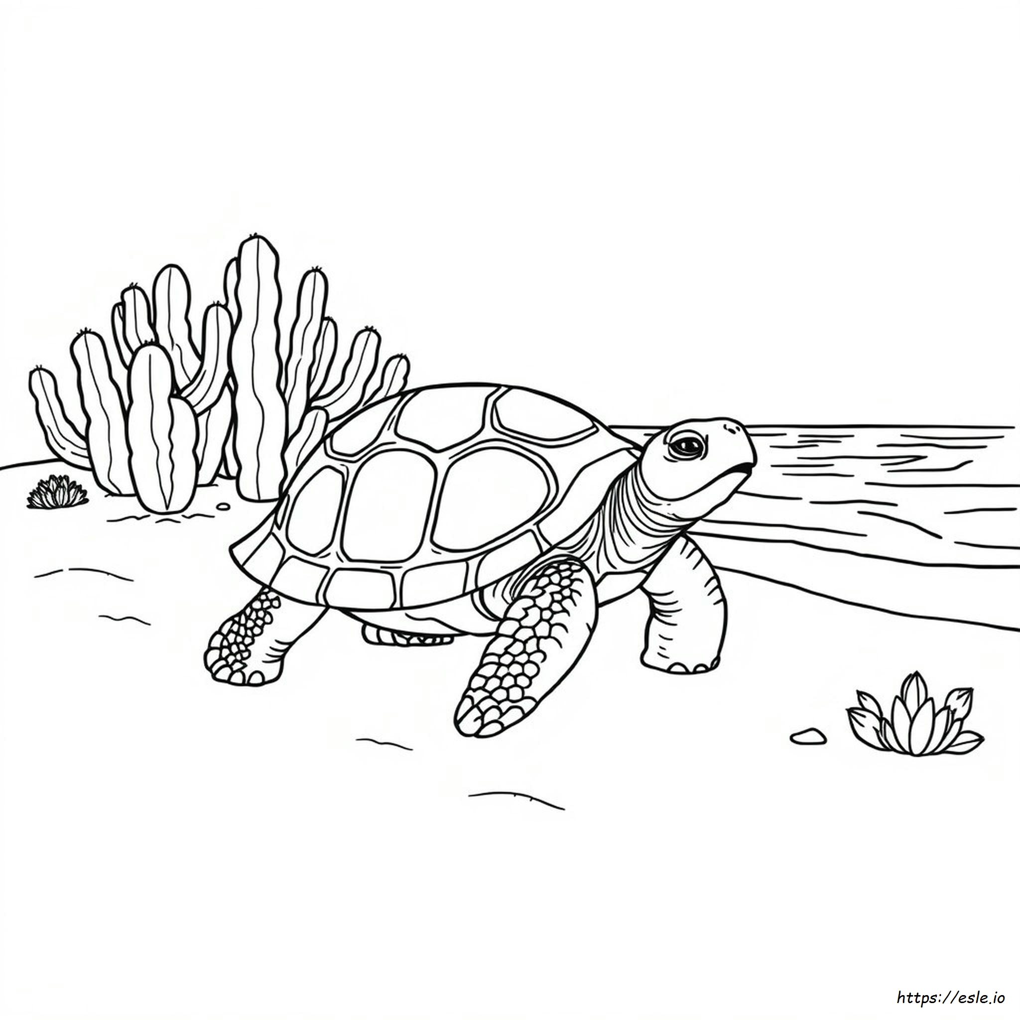 Galapagos Tortoise Coloring Pages
