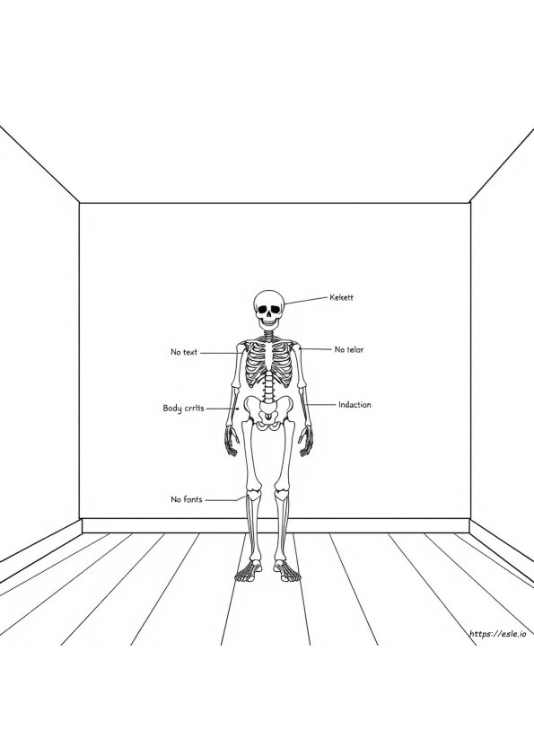 Anatomy Coloring Book Page 1