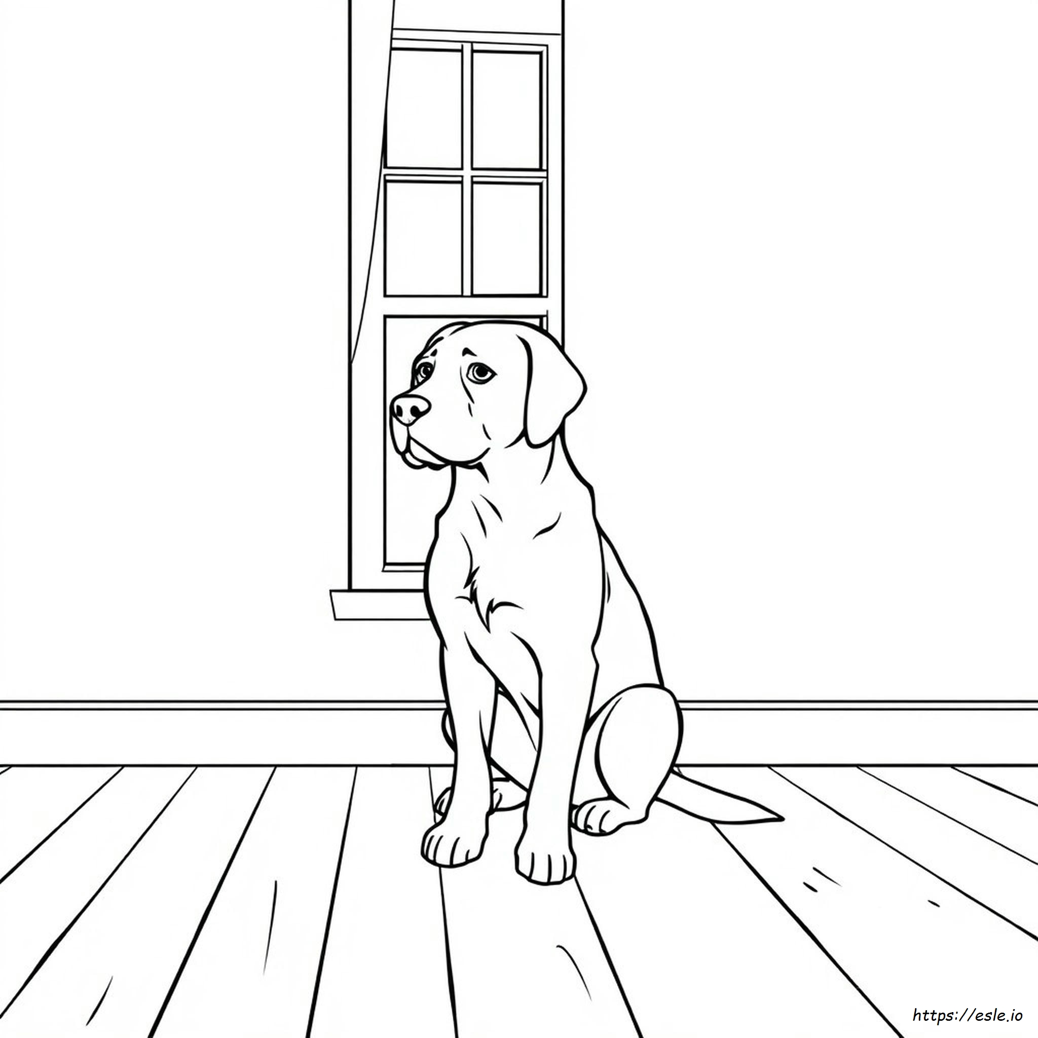 Coloriages De Chien Réalistes