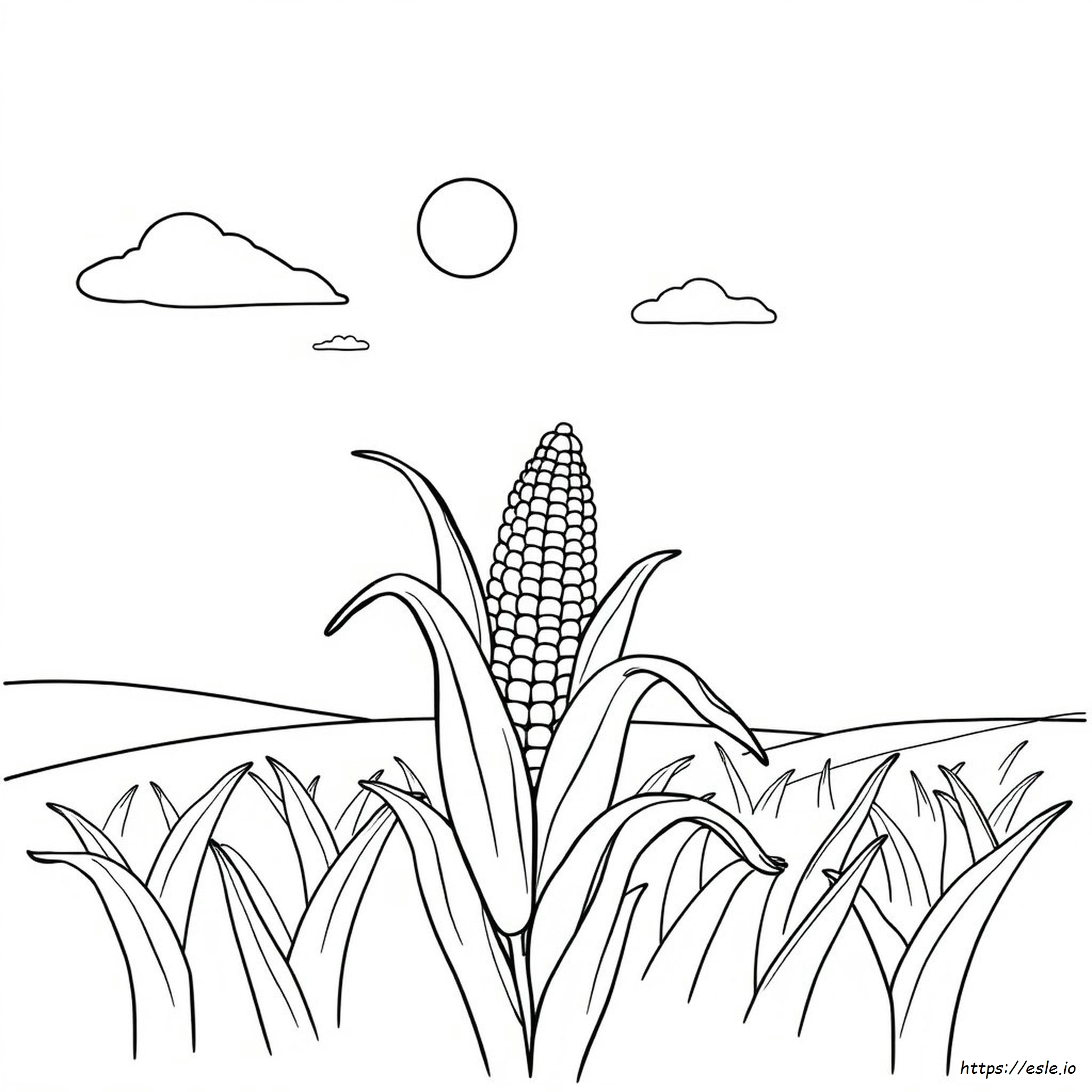 Ear Of Corn Coloring Sheet