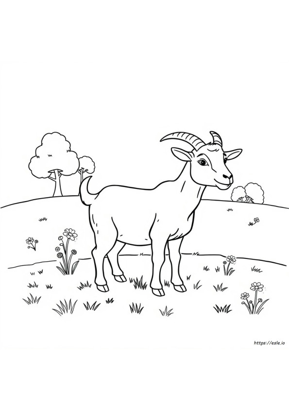 Coloring Picture Of Goat