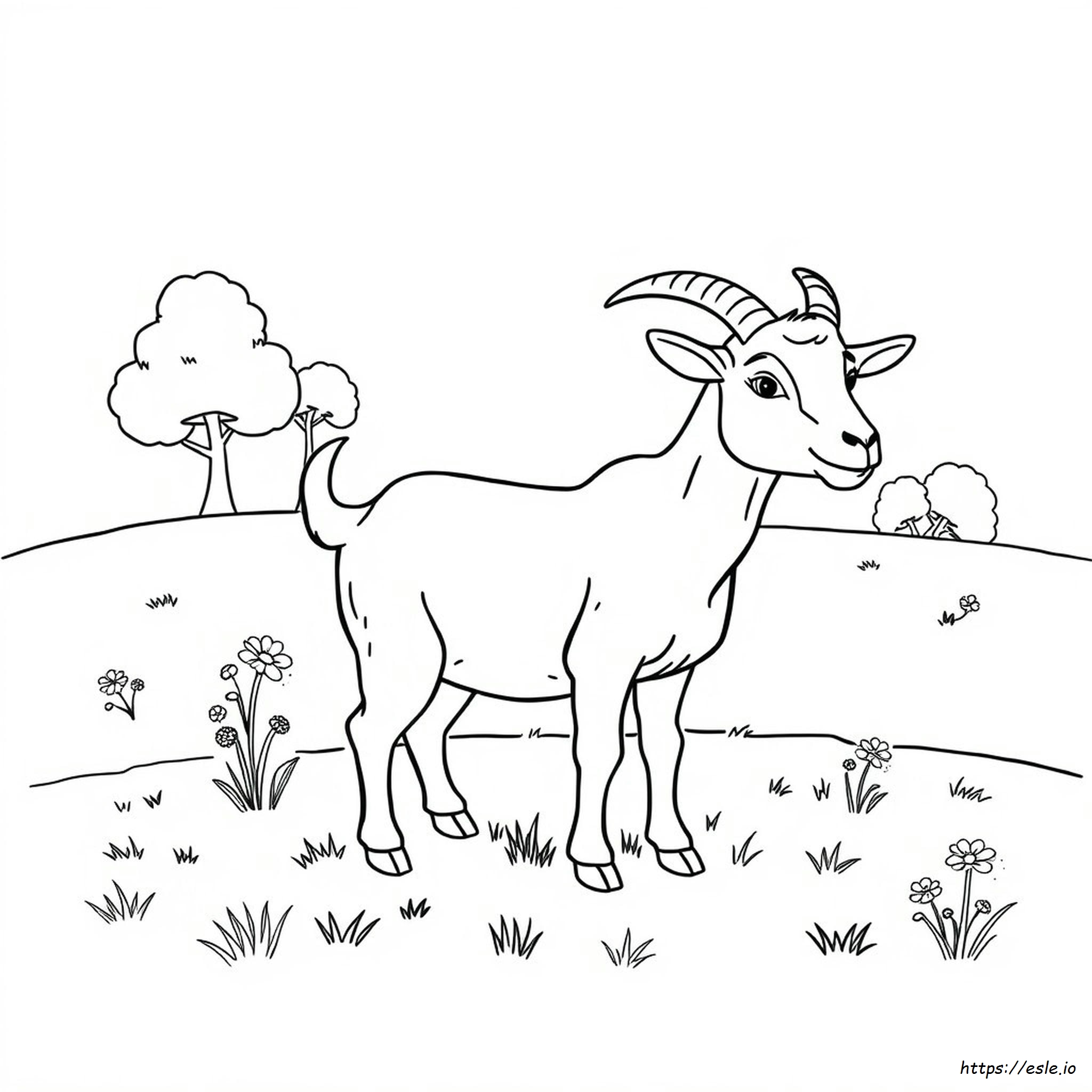 Capra Da Colorare