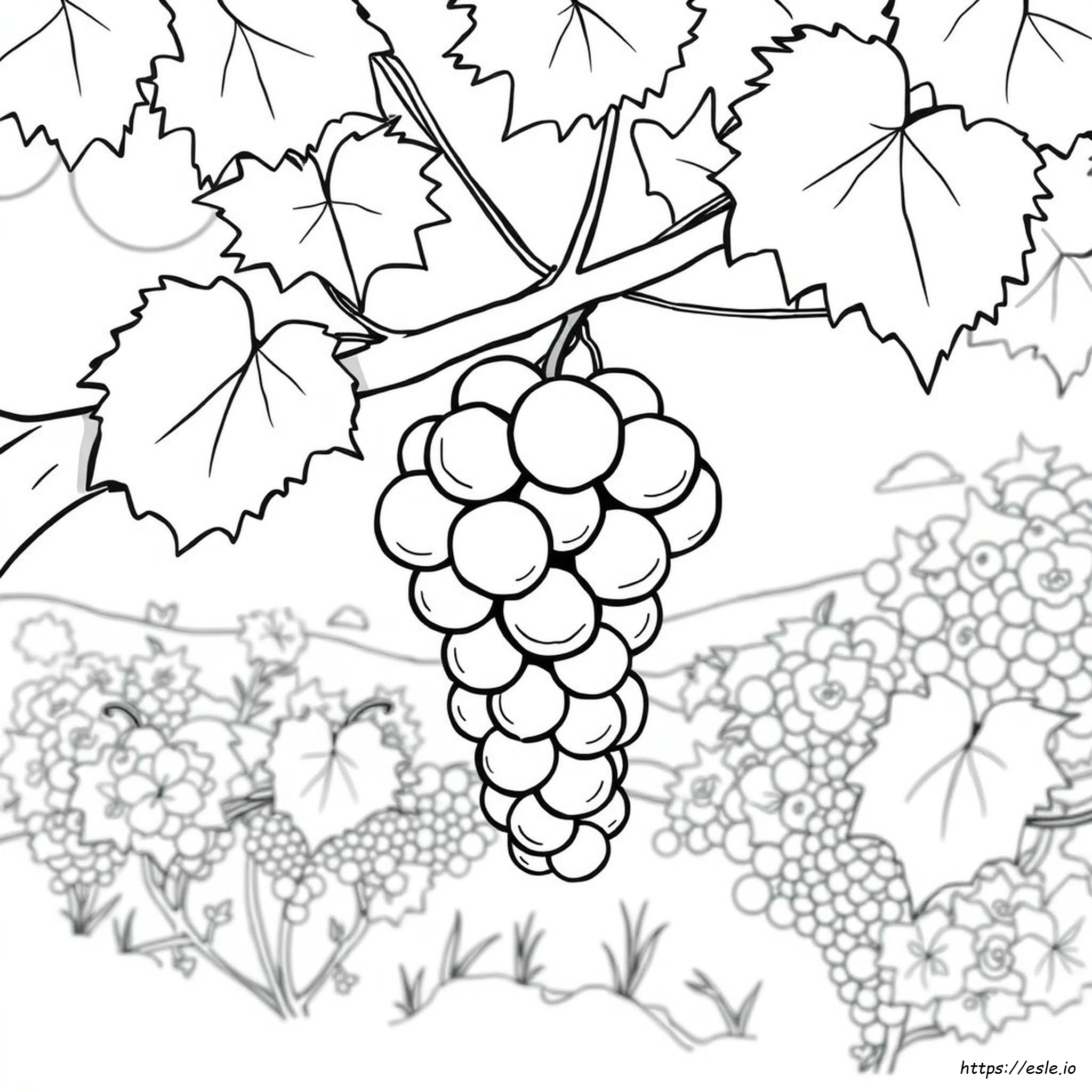 The Sour Grape Coloring Page