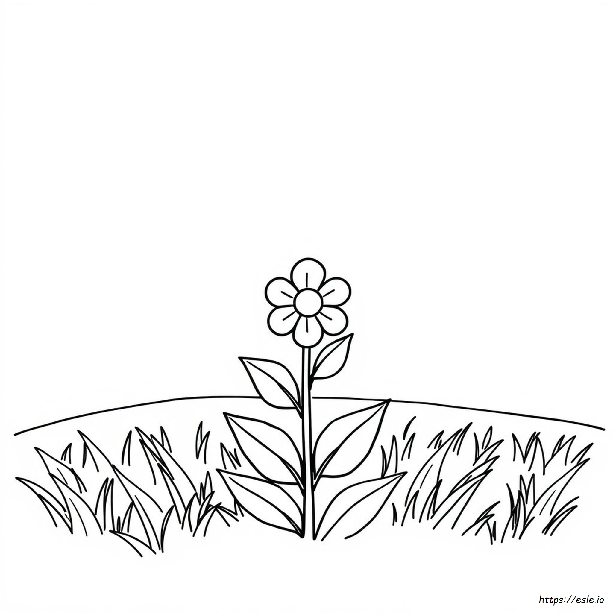 Fiori Semplici Da Colorare