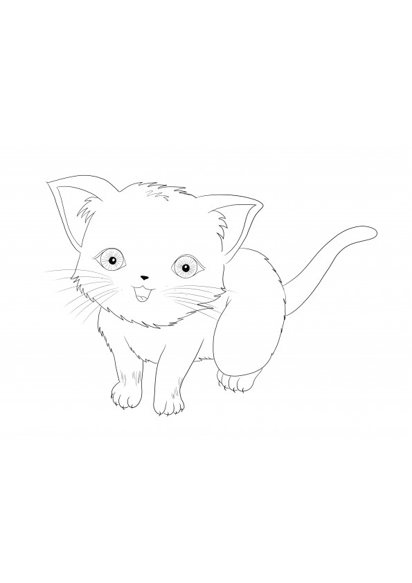 Simple coloring sheet of an anime cat free to download