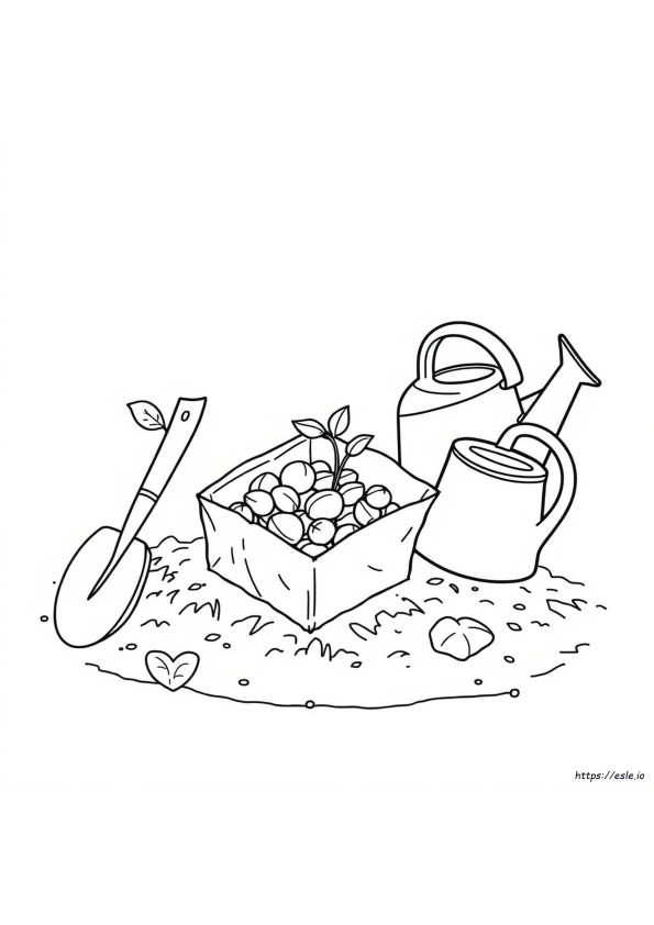 Seed Packet Coloring Page