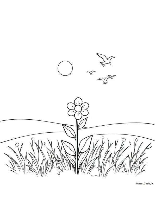Flower Coloring Pages For Adults Pdf