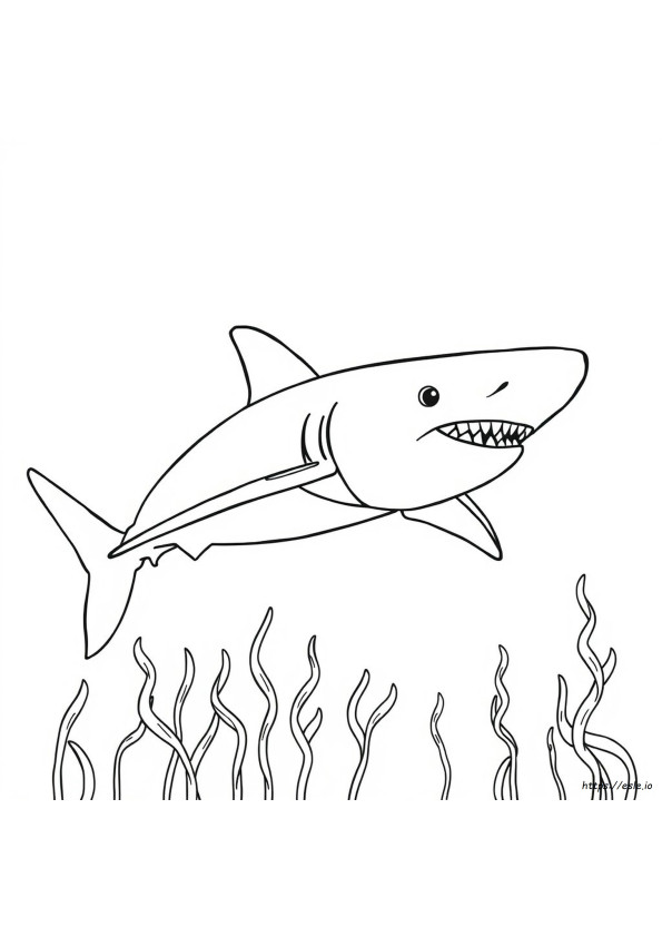 Great White Shark Coloring Sheet