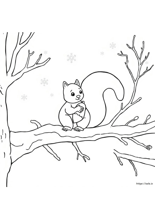 Winter Squirrel Coloring Page