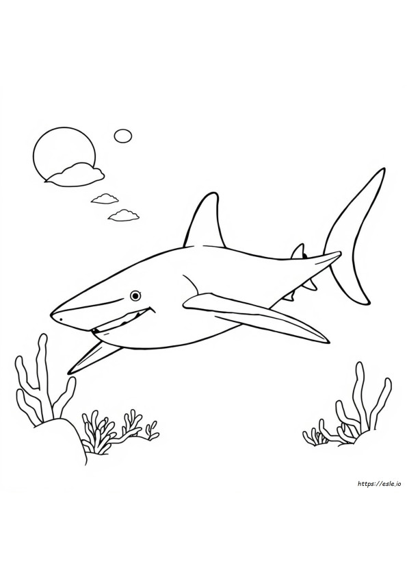 Hammerhead Shark Colouring Pages