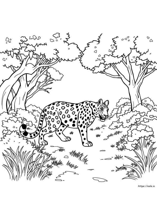 Jungle Cat Coloring Pages - Free Printable Sheets