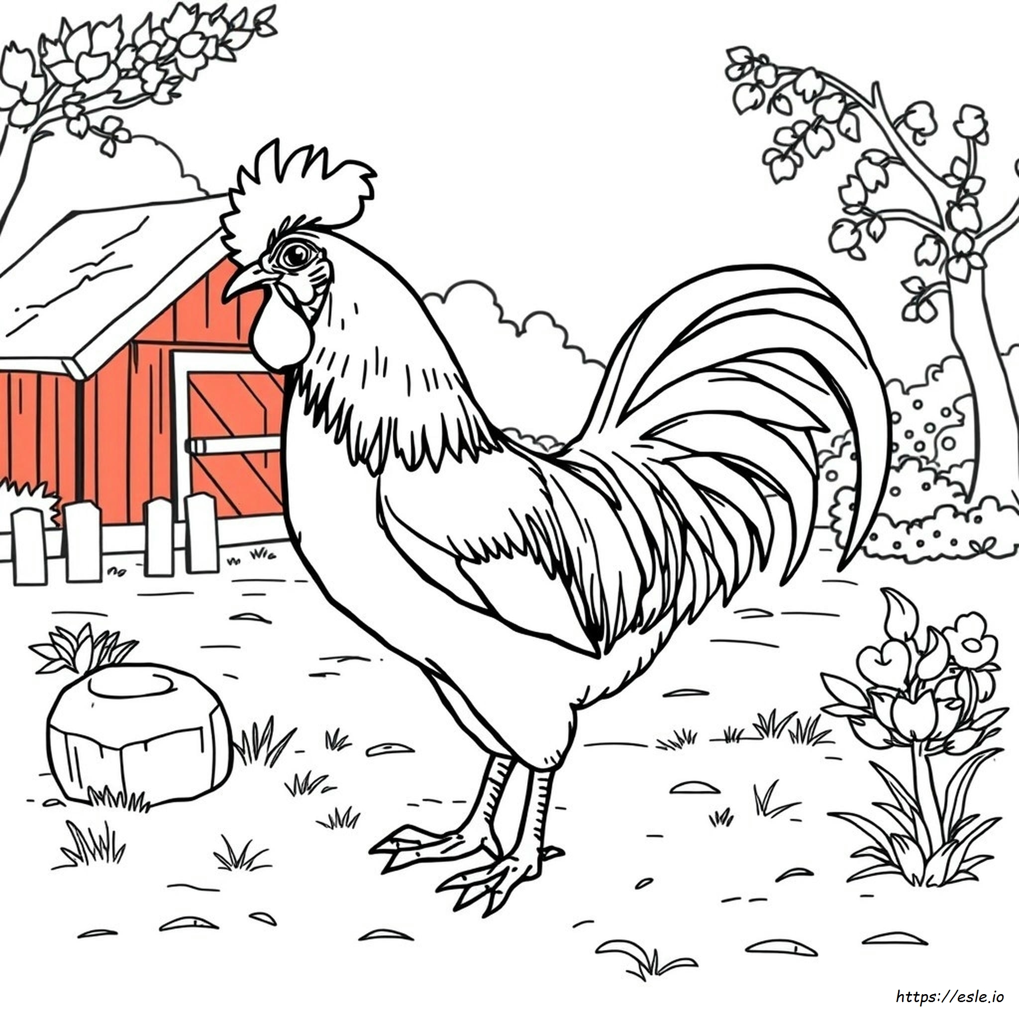 Realistic Rooster Coloring Page