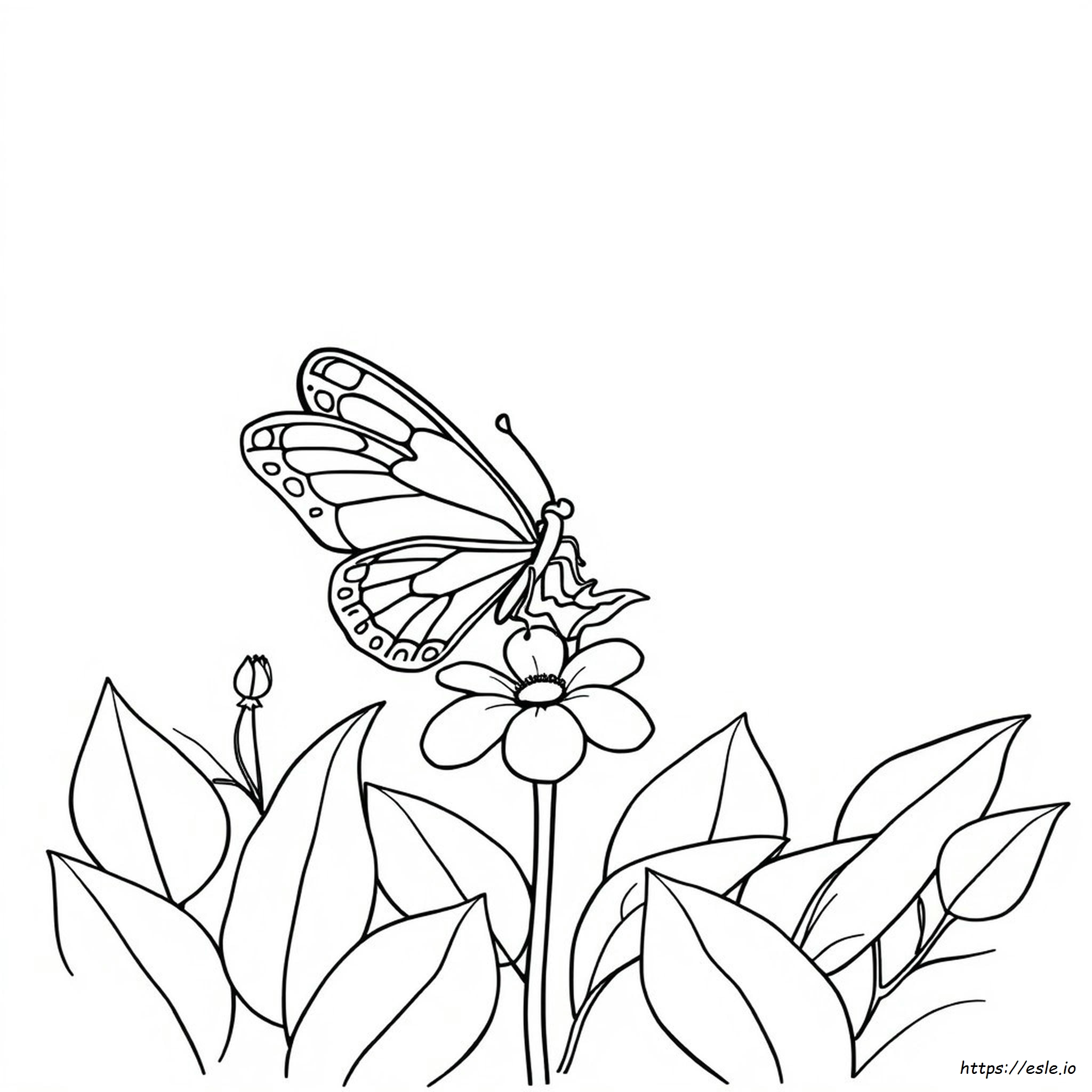 Mariposa Fácil Para Colorear