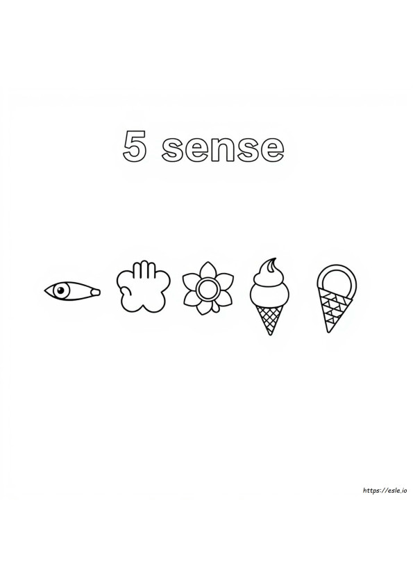 5 Senses Coloring Pages For Preschoolers