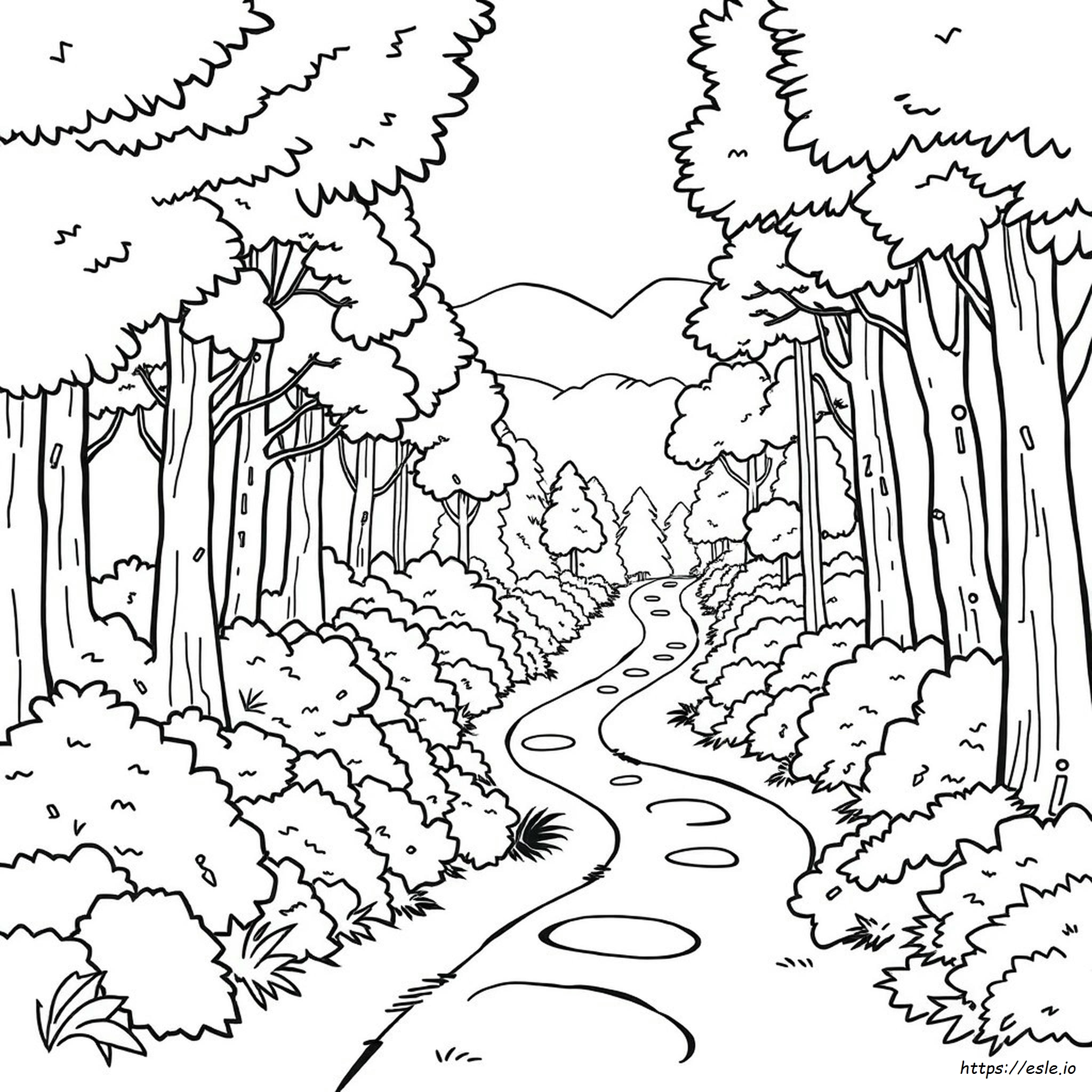 Dibujos Para Colorear De Bosques
