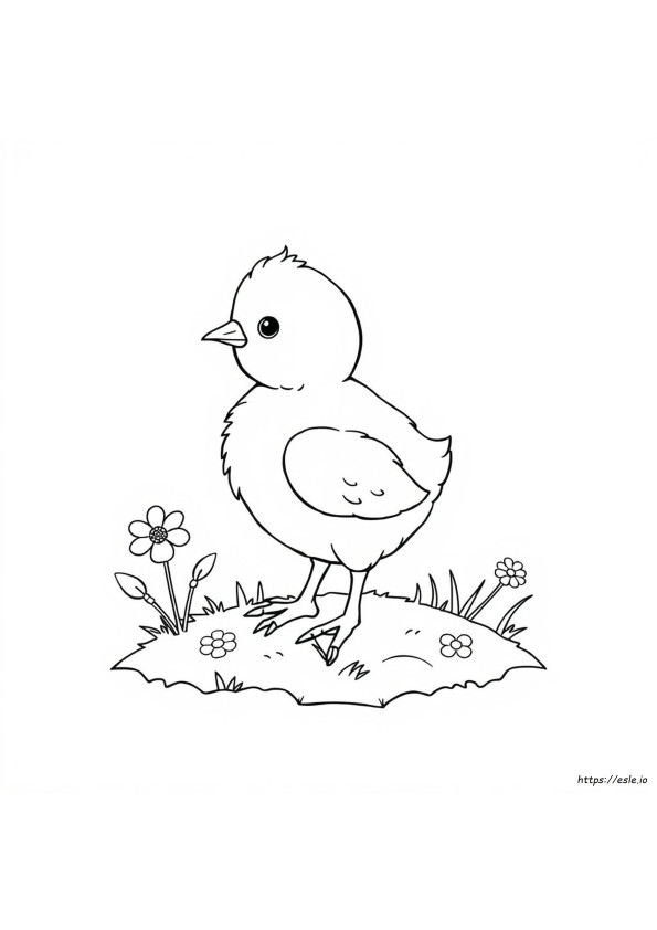 ひよこ ぬりえ