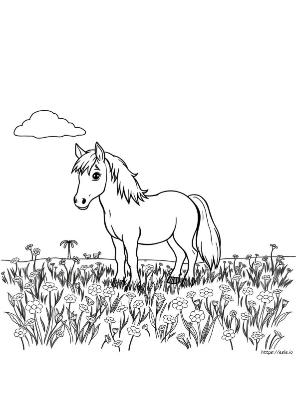 Miniature Horse Coloring Pages