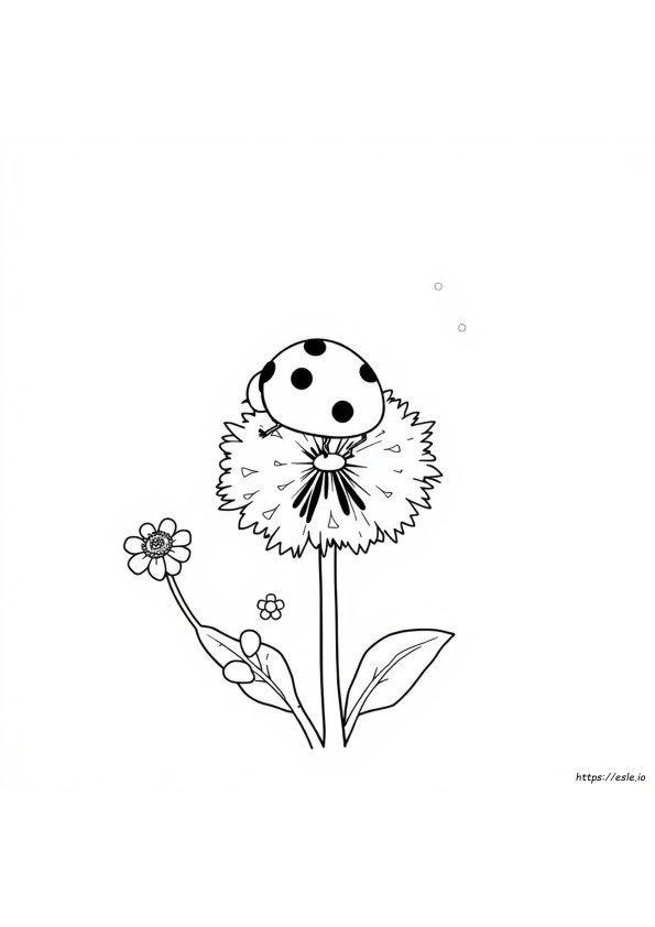 Ladybug Colouring Picture