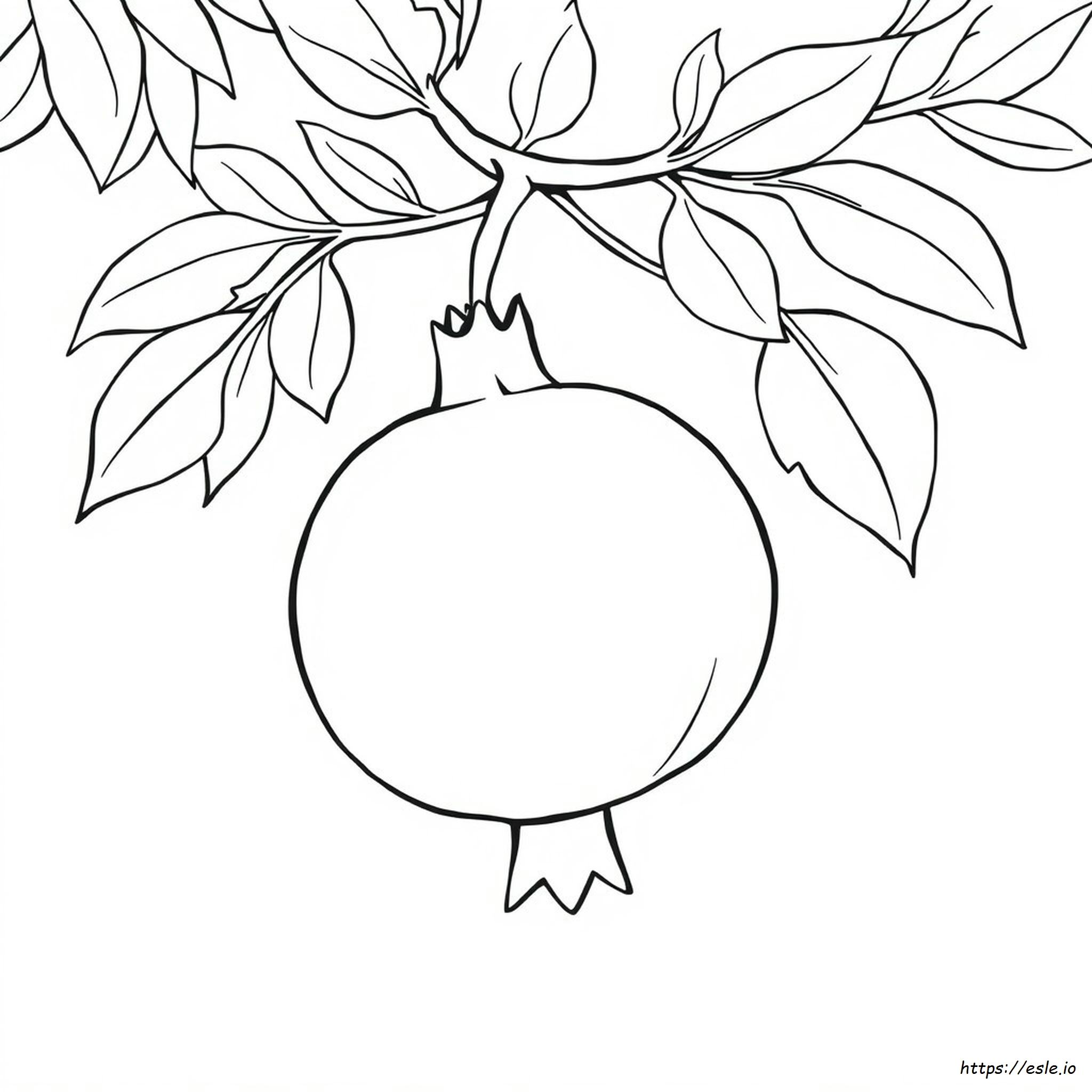Printable Pomegranate Coloring Page