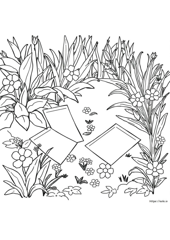 Color Catcher Sheets Nearby
