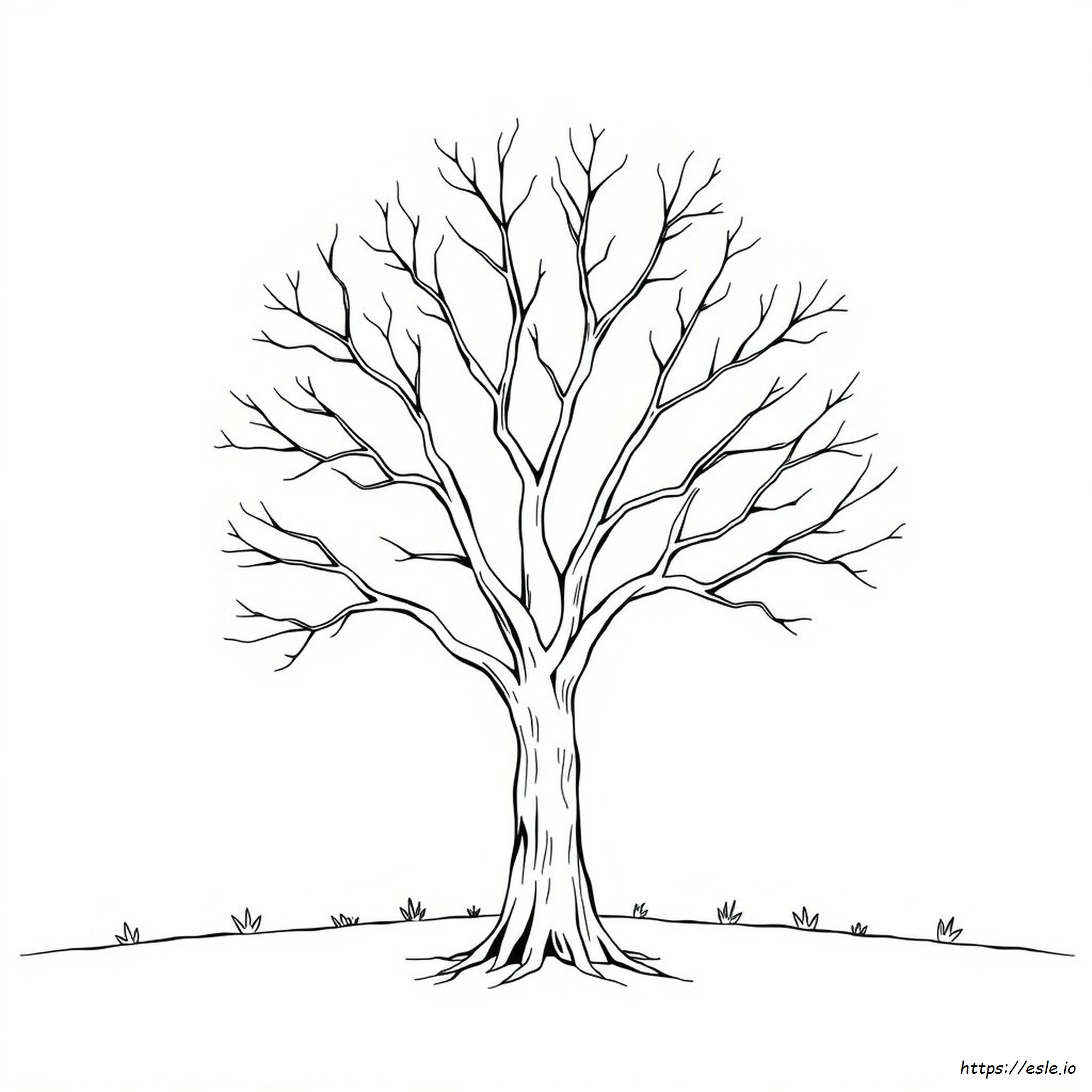 Coloring Page Of A Tree Without Leaves