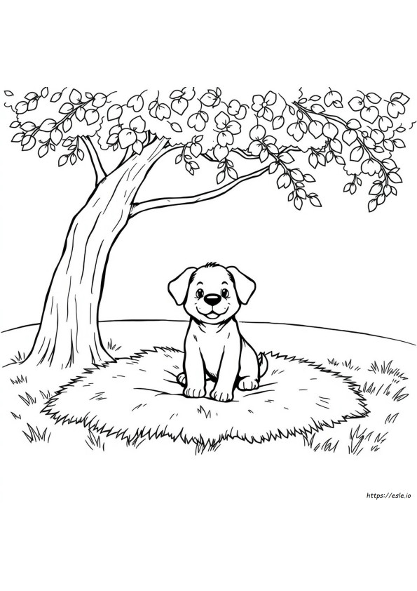 Coloriages Animaux Mignons