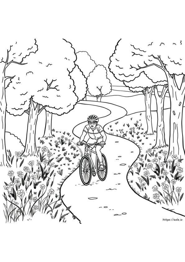 Cc Cycle 1 Coloring Pages
