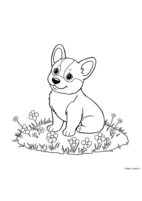 Corgi Yavrusu Sevimli Corgi Boyama Sayfaları