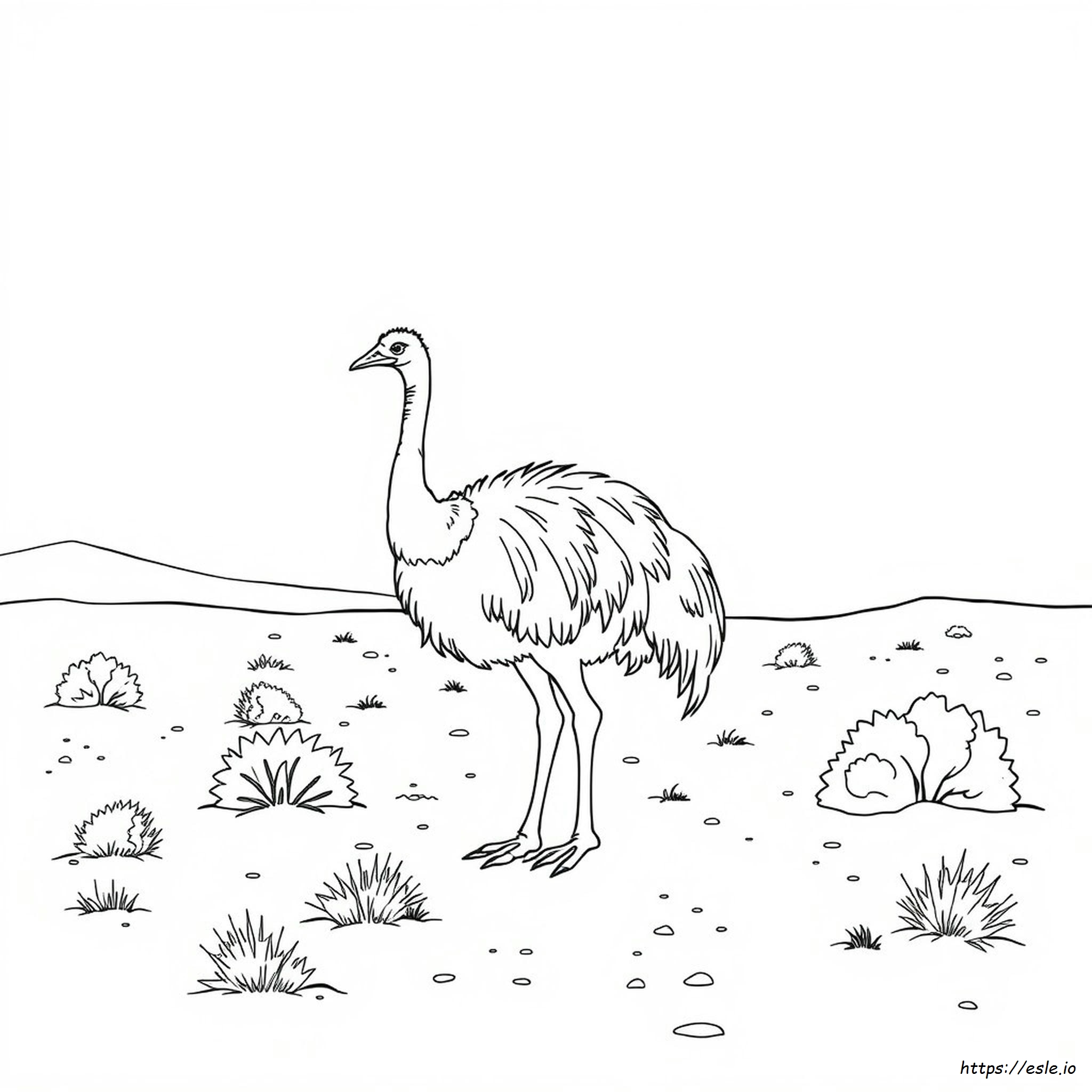 Printable Emu Coloring Page