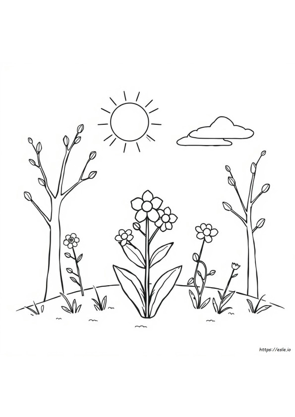 Spring Doodle Coloring Pages