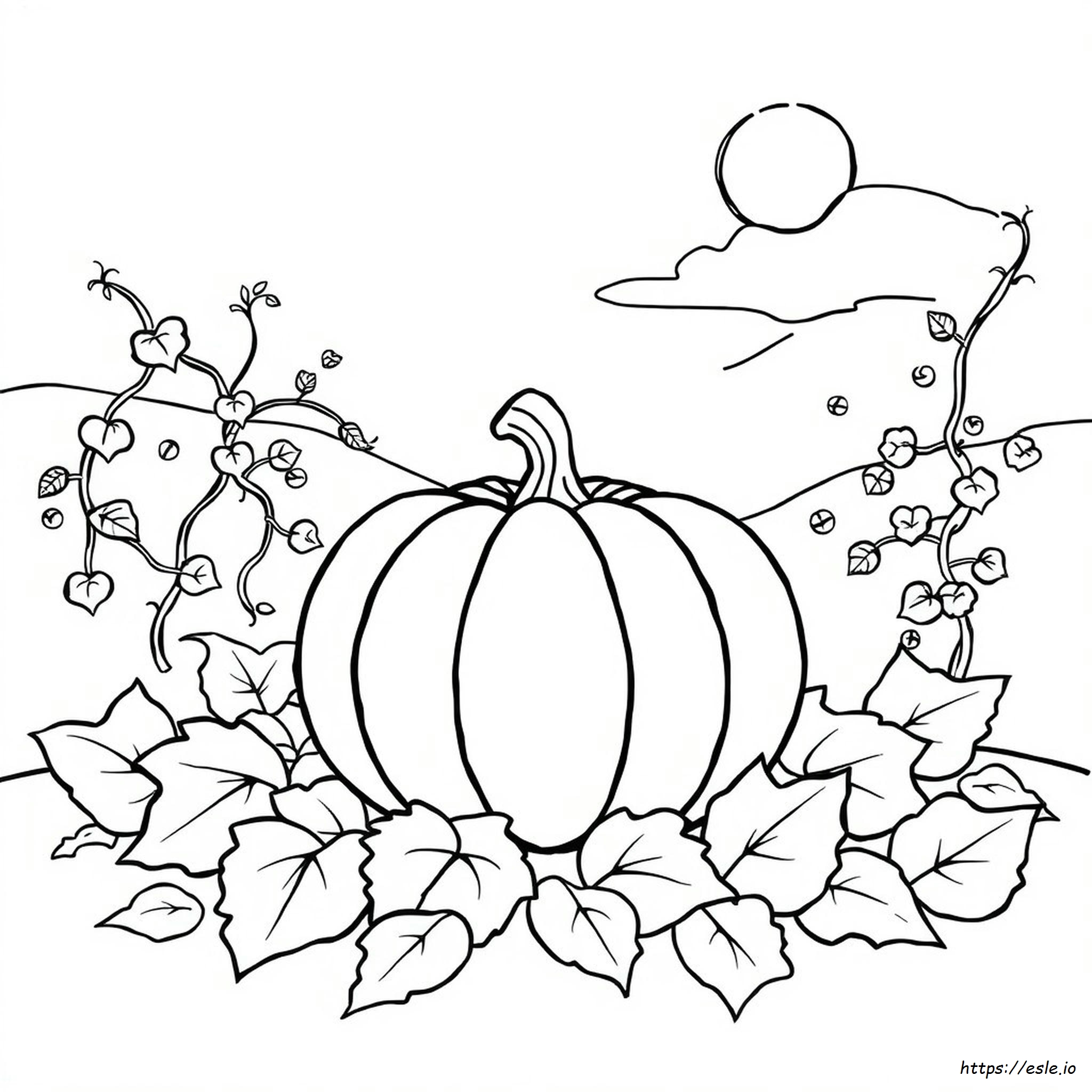 Pumpkin Colouring Picture
