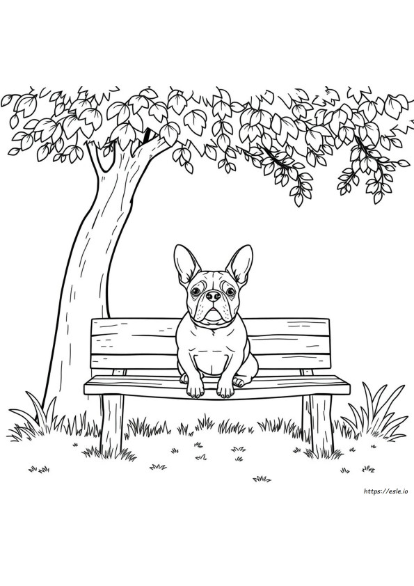 Realistic French Bulldog Coloring Pages