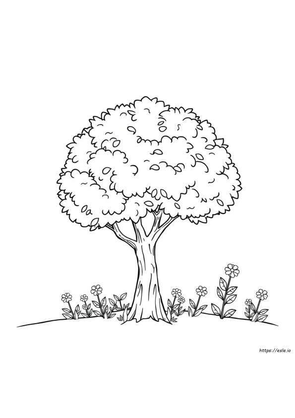 Natureza Para Colorir