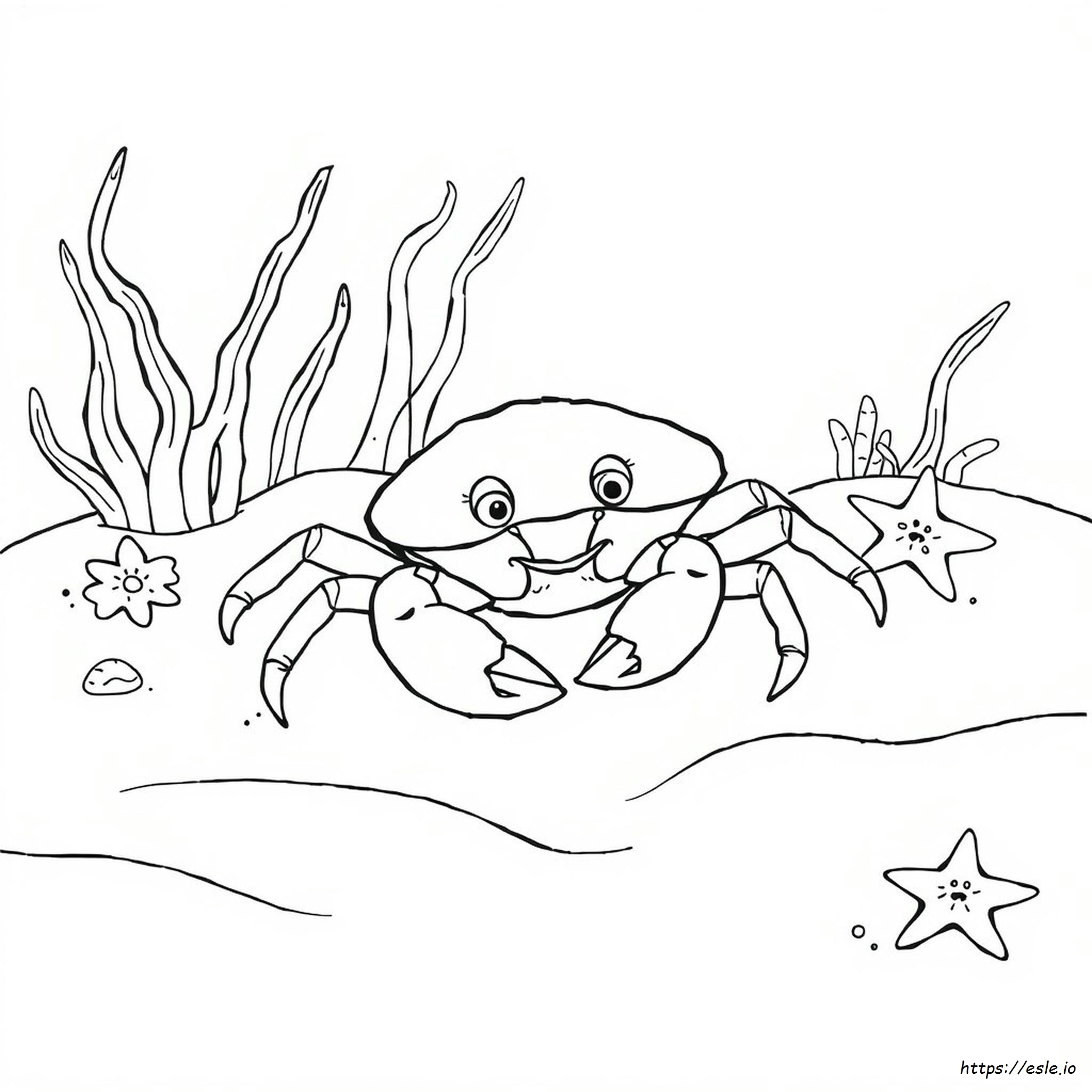 Krabbe Ausmalbild