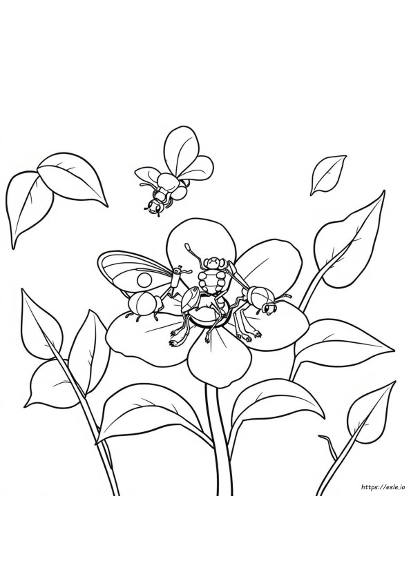 Insects Coloring Pages For Preschoolers