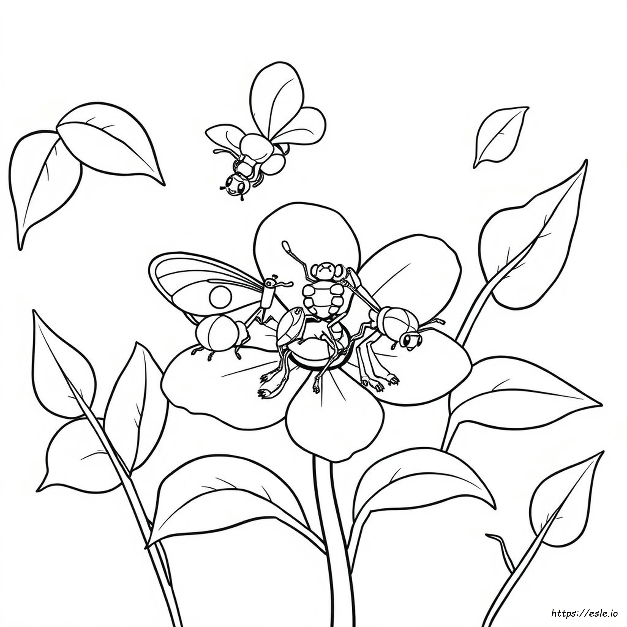 Dibujos De Insectos Para Colorear Para Preescolares