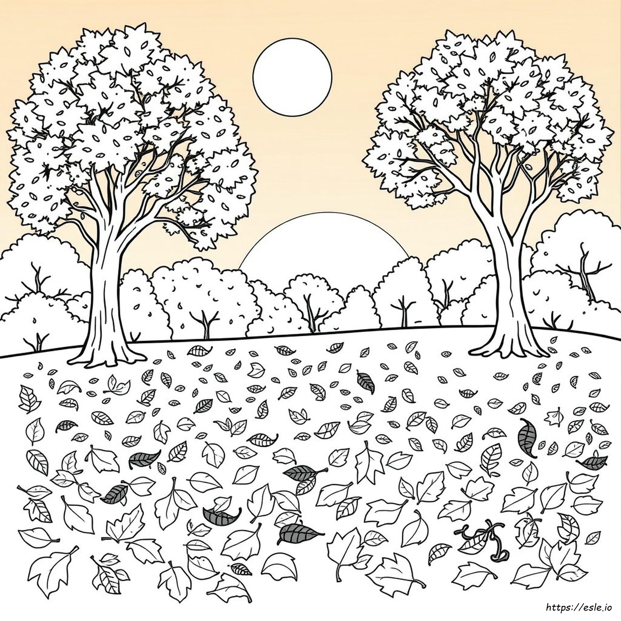 Pag_Ine Autunnal_I Da Colorare Per Tutta La Pagina
