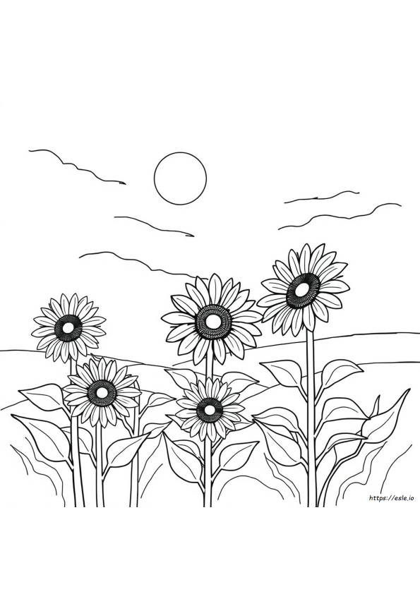 Summer Season Printable Summer Coloring Pages