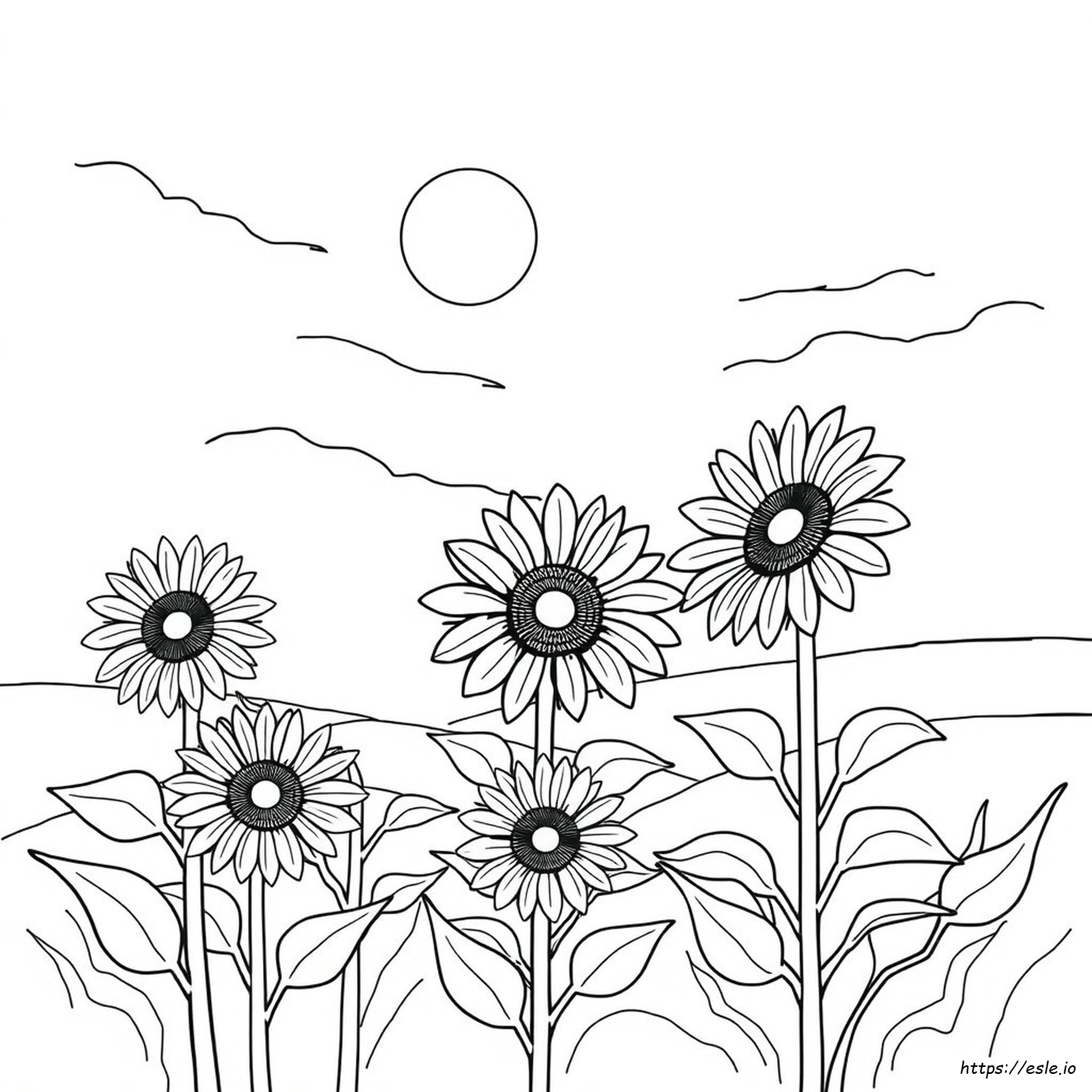Summer Season Printable Summer Coloring Pages