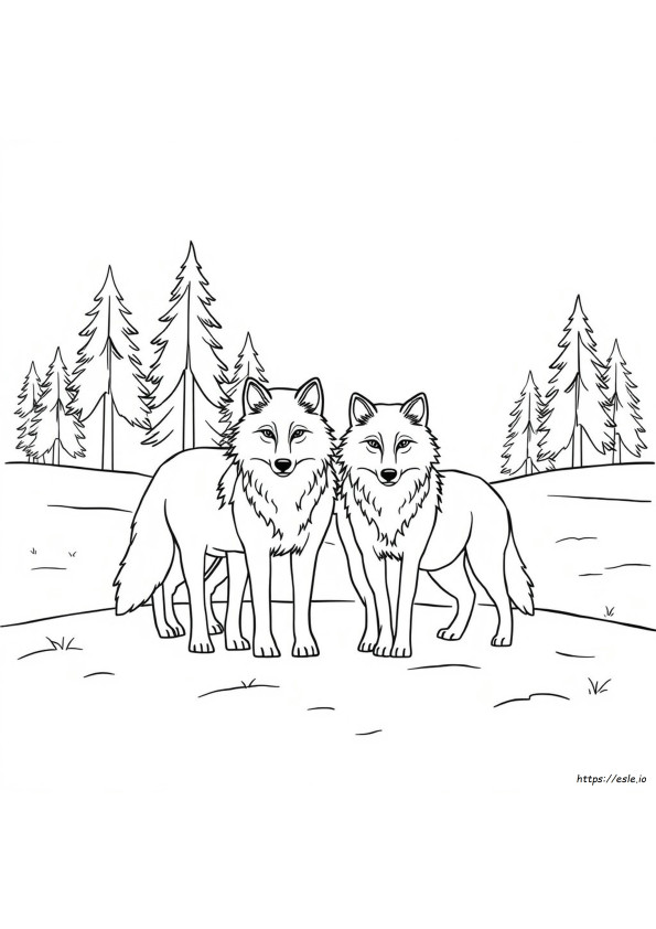 Coloring Pictures Of Wolves