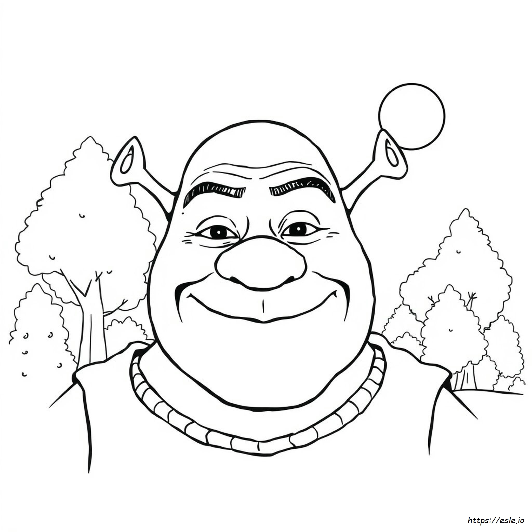 Pagina Da Colorare Viso Shrek