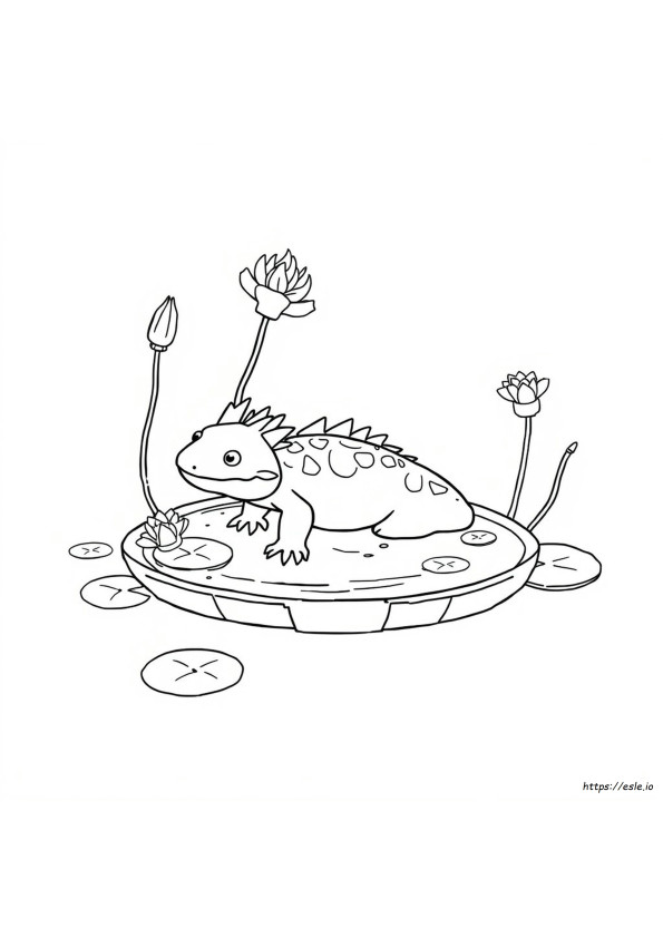 Axolotl Da Colorare Pdf