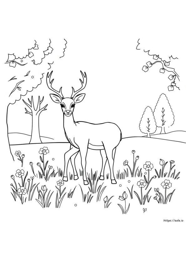 Desene De Colorat Cu Cerbi