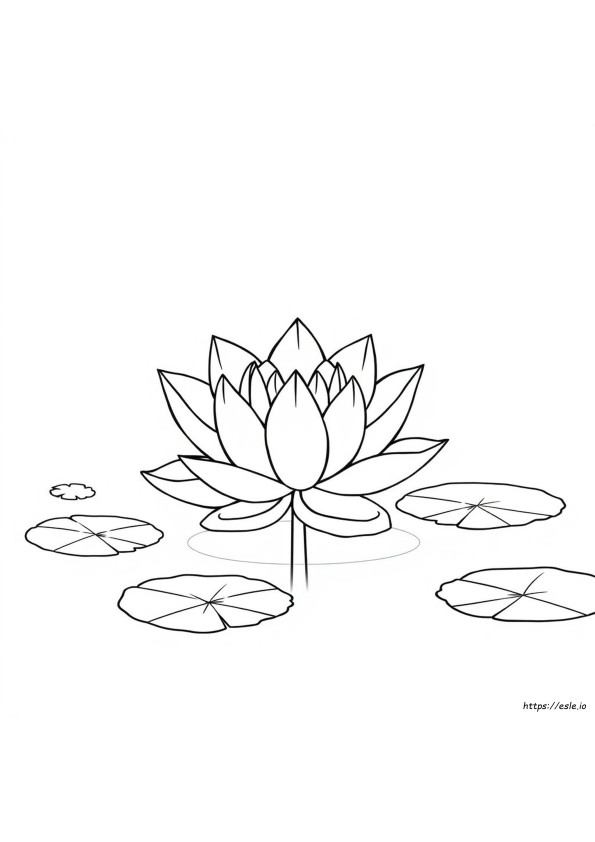 Lotus Colouring Pages