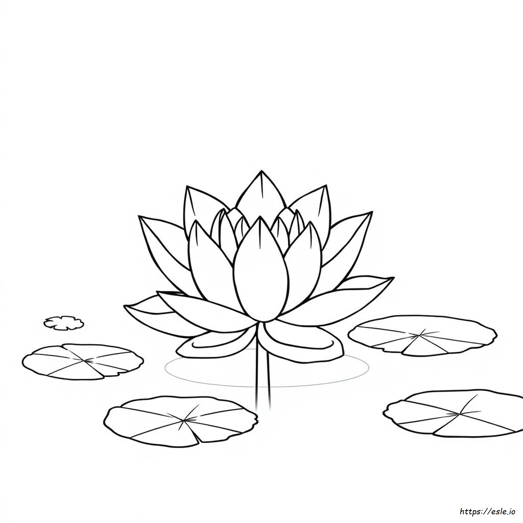 Lotus Colouring Pages