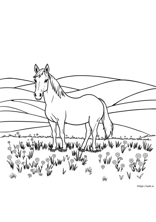 Cavalos Para Colorir E Imprimir